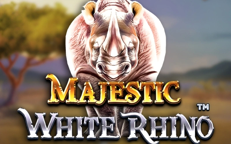 Start your slots journey with african animals in Majestic Wild Rhino at Glory Casino.