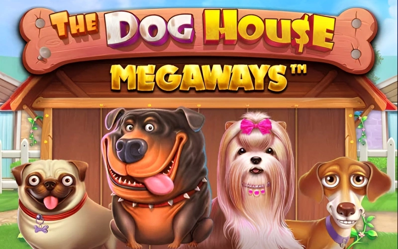 Get up to 117,649 ways to win at The Dog House Megaways at official Glory Casino.